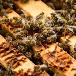 4960c43a-40b5-40ea-923c-9fcafc956b57