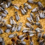 d306a87d-254c-4323-b630-d27cc21efae6